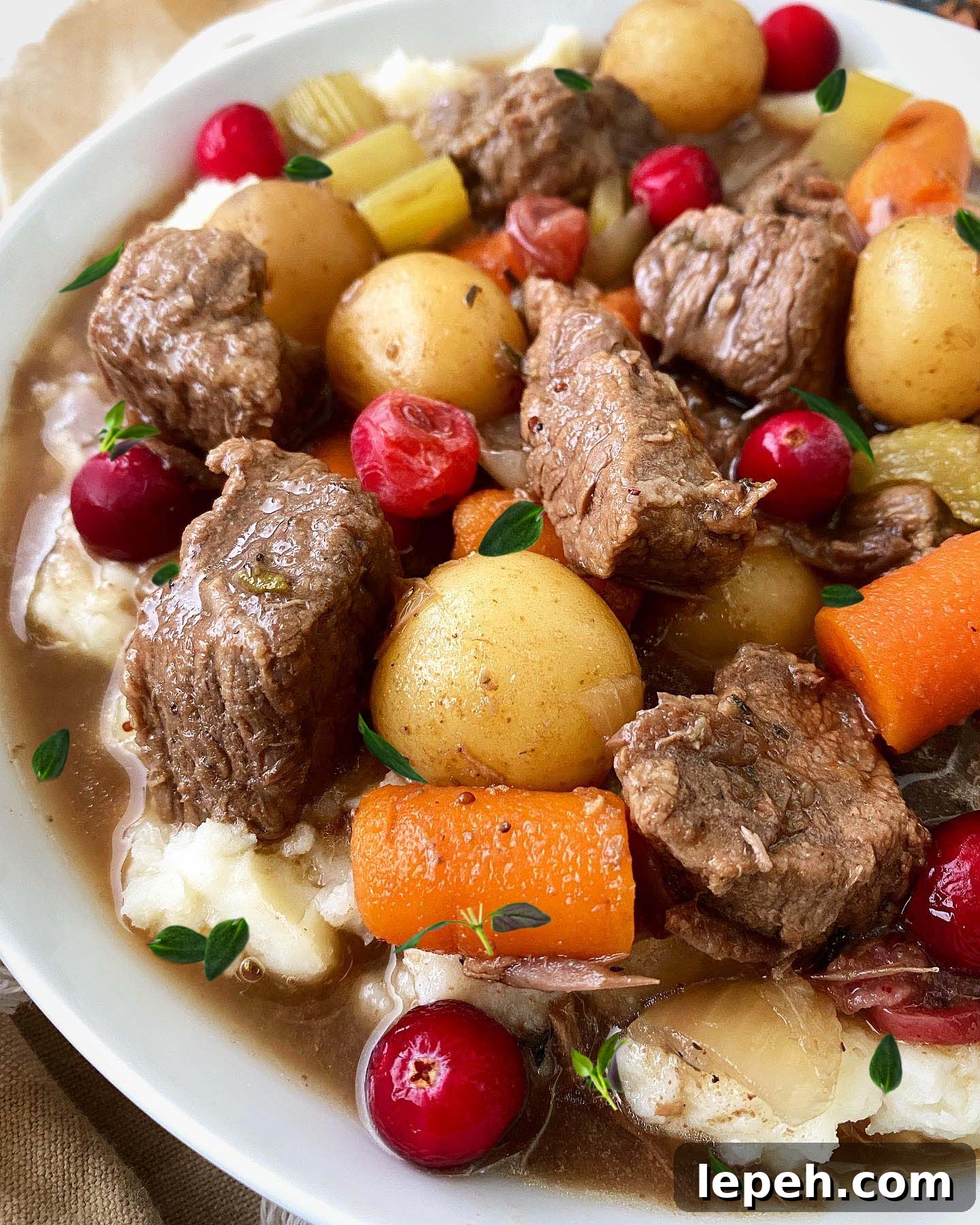 Cranberry Beef Stew in a Slow Cooker — Comforting One-Pot Meal 6 close up shot of cooked cranberry beef stew served over mashed potatoes