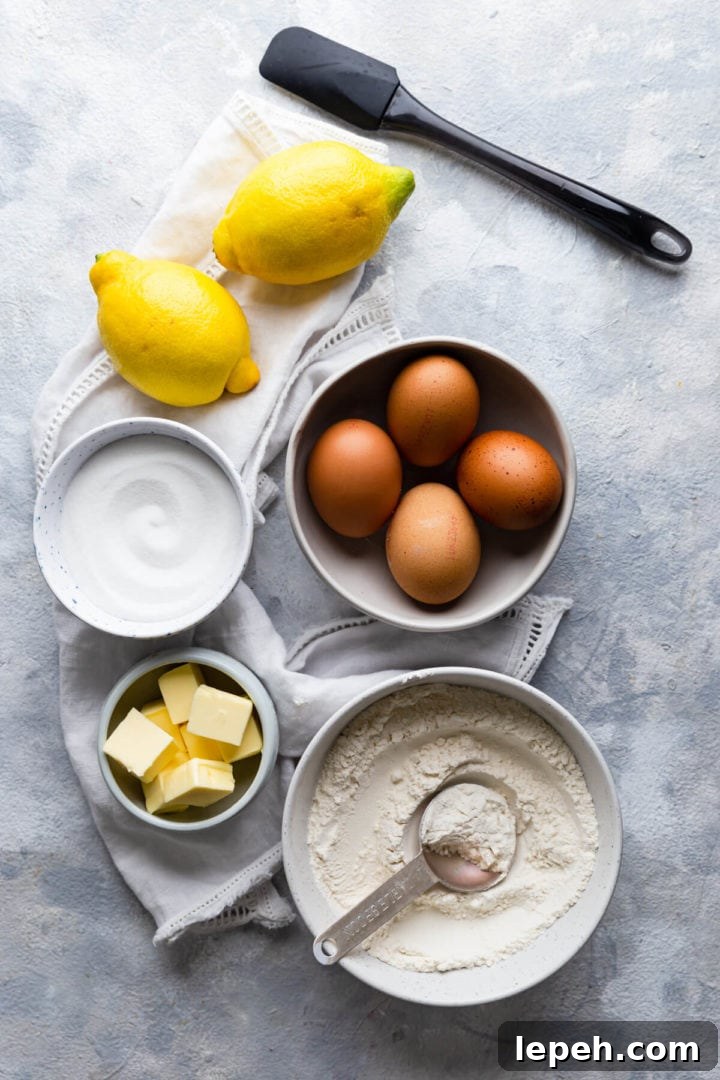 overhead shot of the ingredients for sponge cake