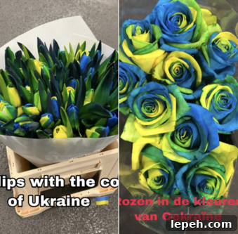 Florist support message for Ukraine