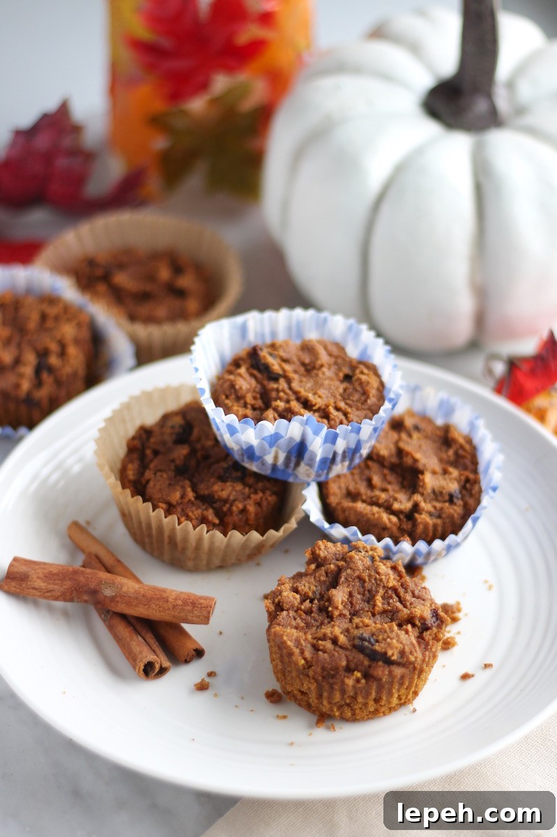 Paleo Pumpkin Spice Muffins (AIP) - guilt-free pumpkin muffins featuring Fall spices, raisins, and tigernut flour! Delicious and allergy-friendly! | fedandfulfilled.com