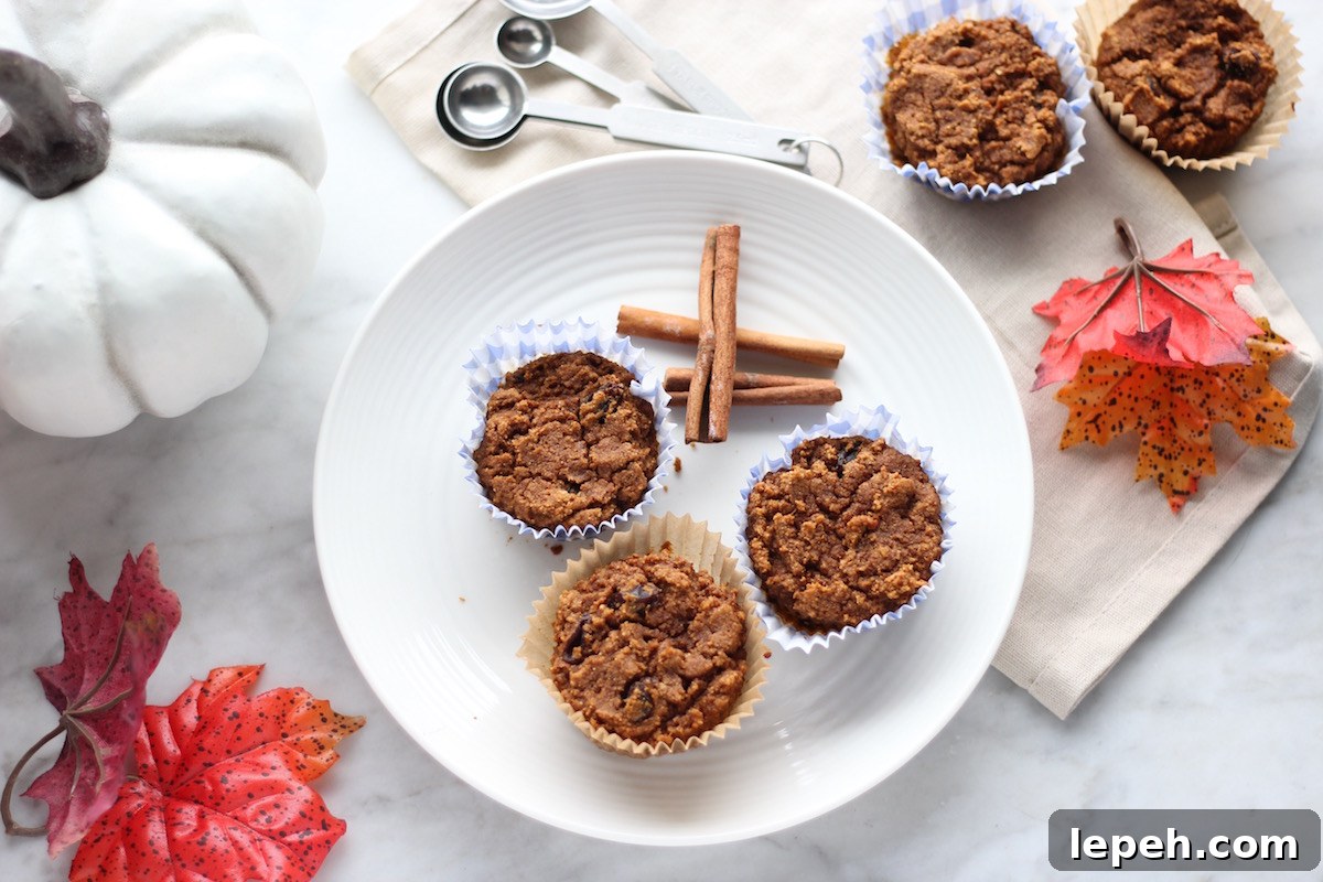 Paleo Pumpkin Spice Muffins (AIP) - soft, lightly sweet pumpkin muffins are allergy-friendly and a perfect Fall treat! | fedandfulfilled.com
