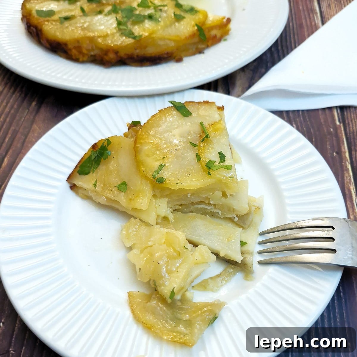 Caramelized Onion and Welsh Scallion Pancakes 14 img 52372 13