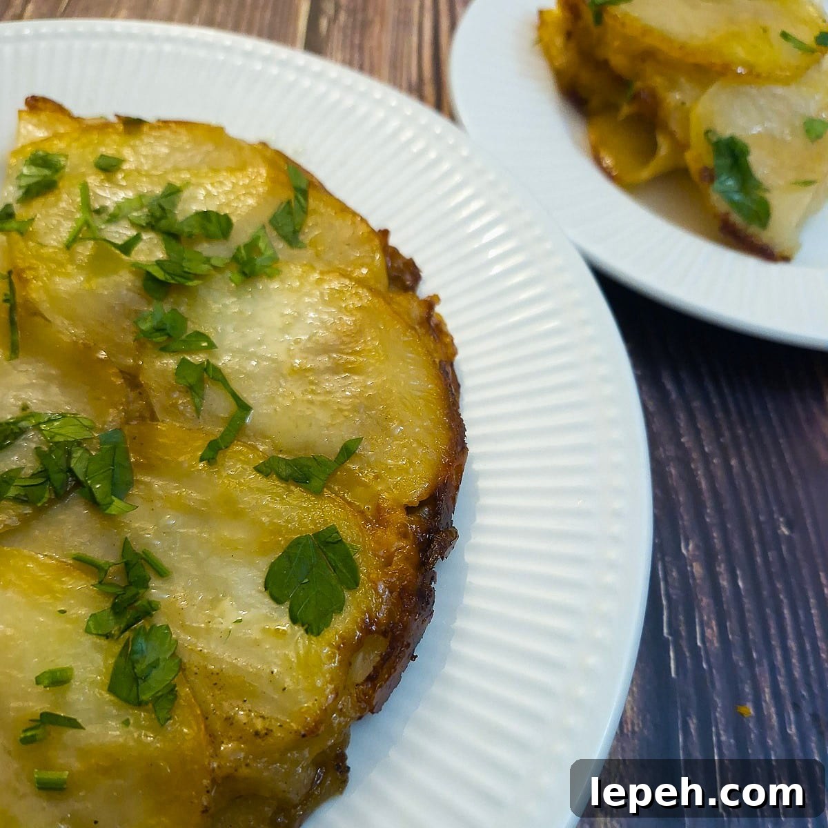 Caramelized Onion and Welsh Scallion Pancakes 15 img 52372 14