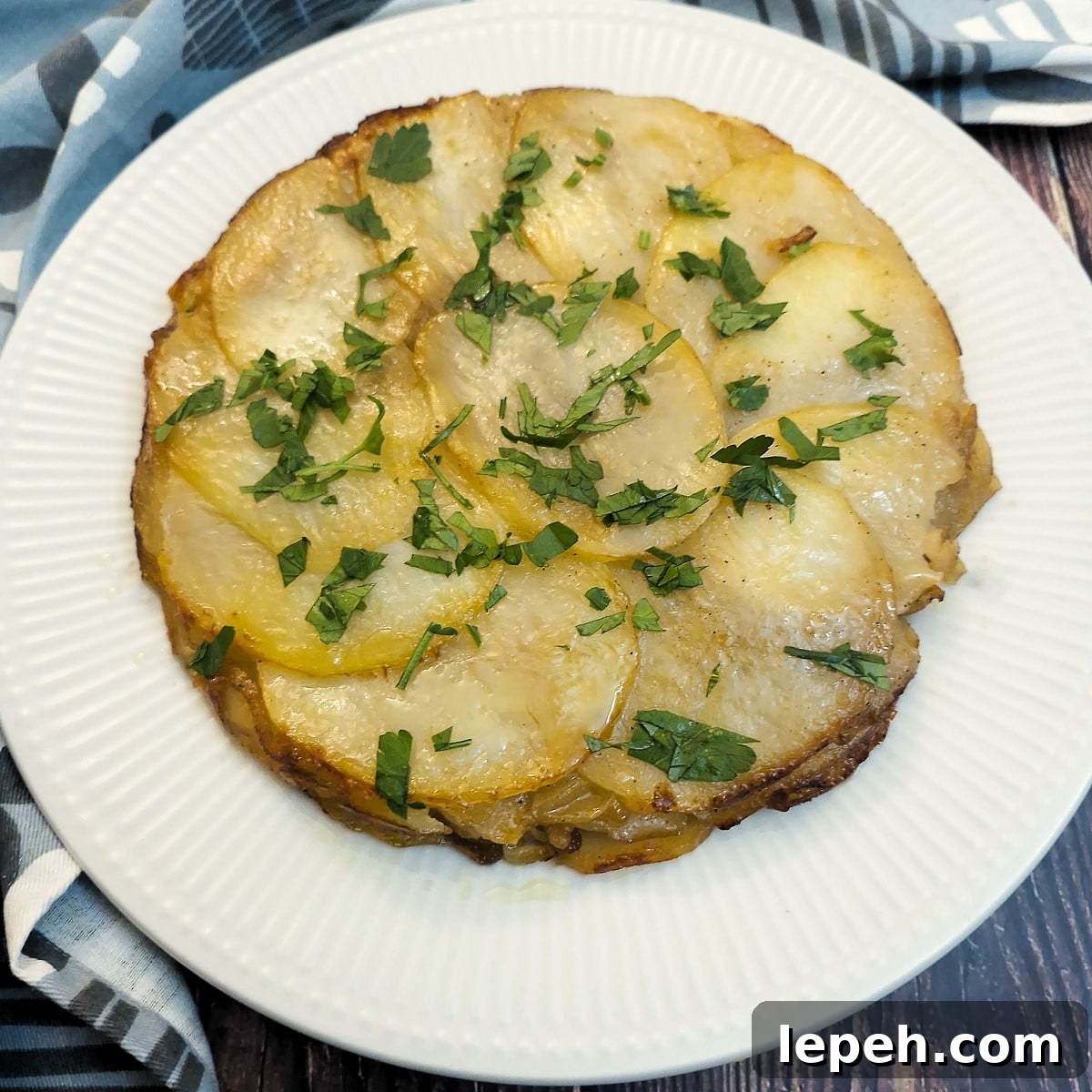 Caramelized Onion and Welsh Scallion Pancakes 3 img 52372 2