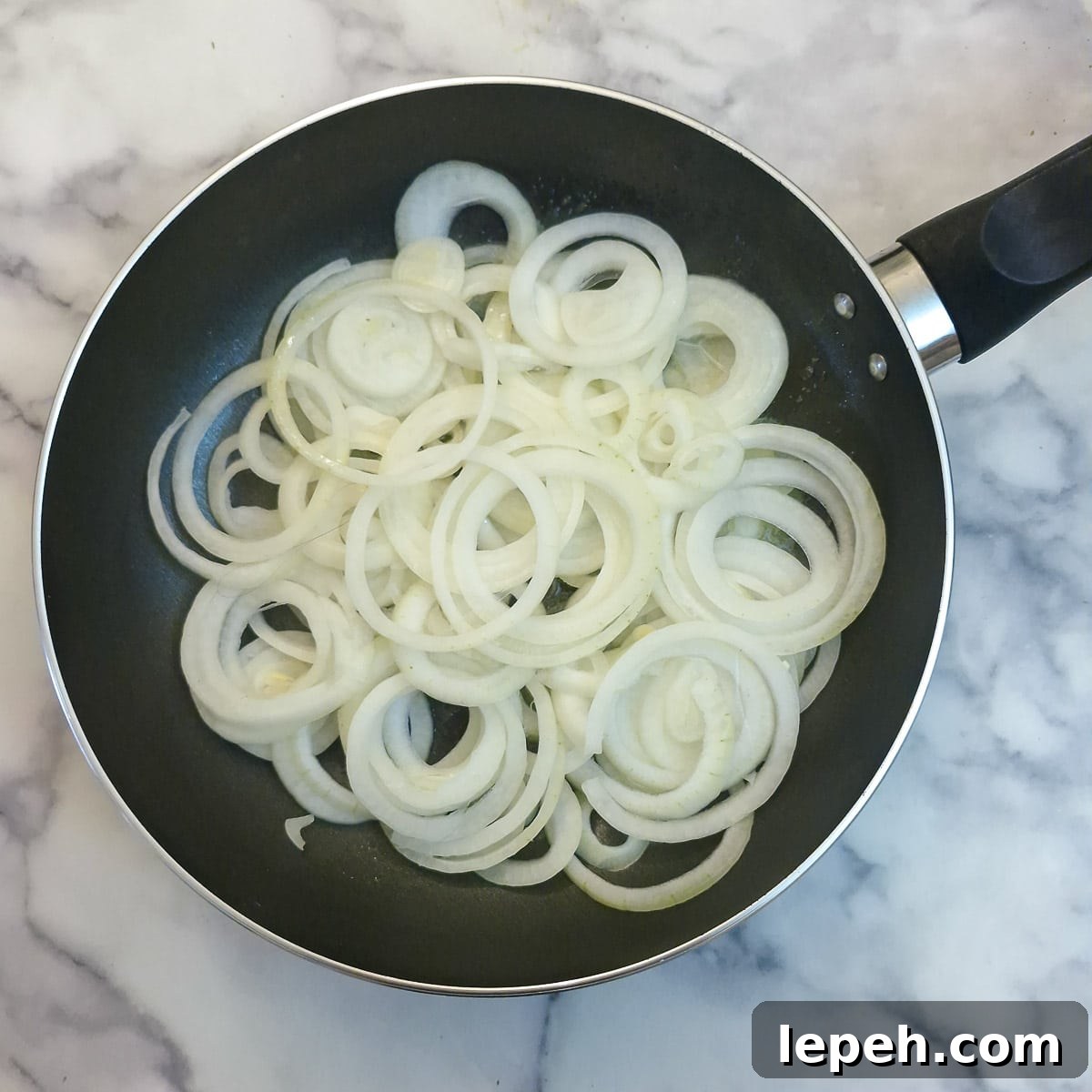 Caramelized Onion and Welsh Scallion Pancakes 5 img 52372 4