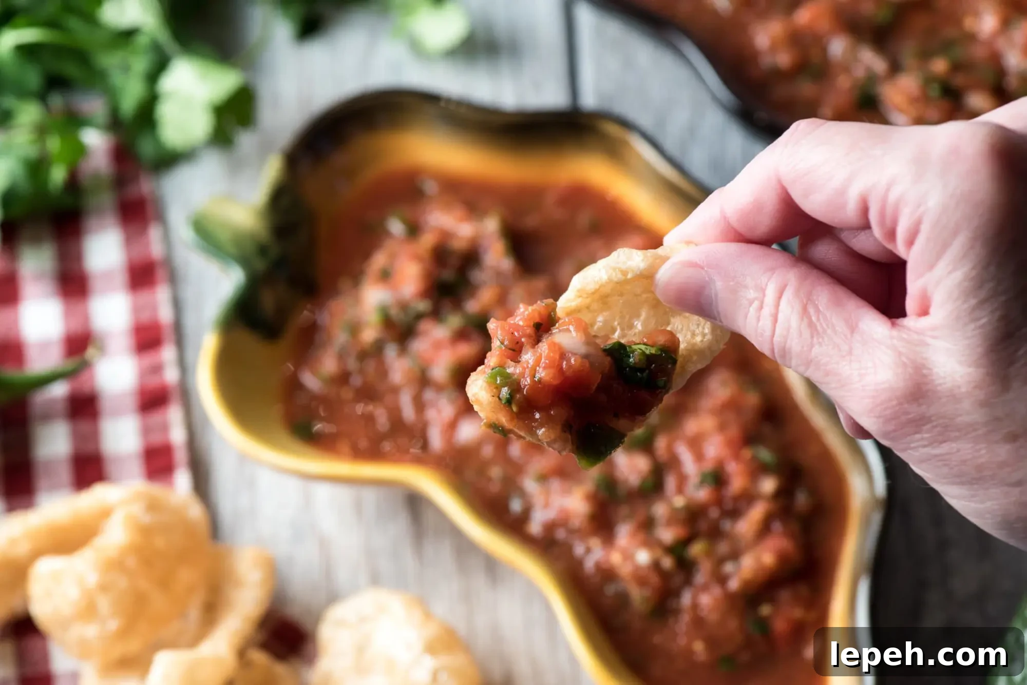 Chicharrone with Salsa